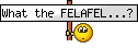 What the FELAFEL...? :wtf: